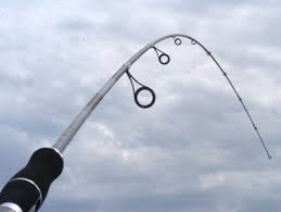 fishing rod taper